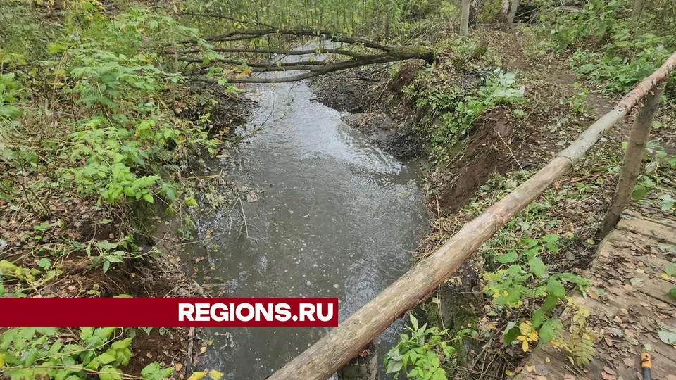 Фото: Михаил Раскин