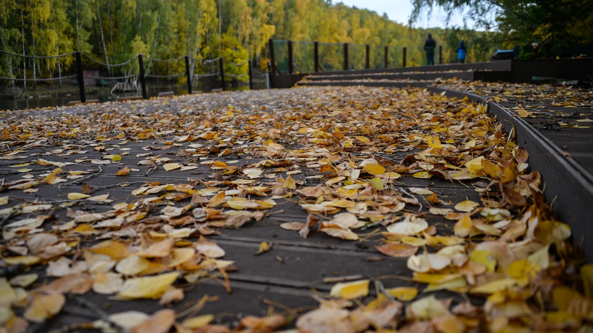 Lantyukhov Sergey/news.ru