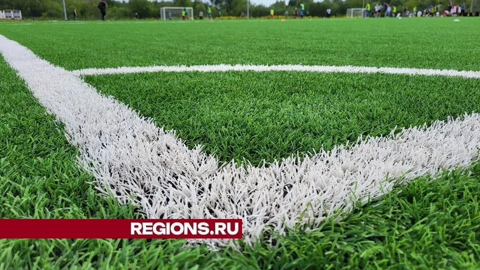 Фото: пресс-служба администрации городского округа Луховицы