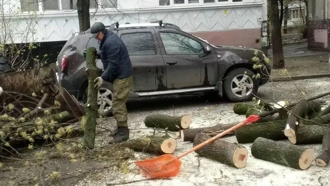 Картинка