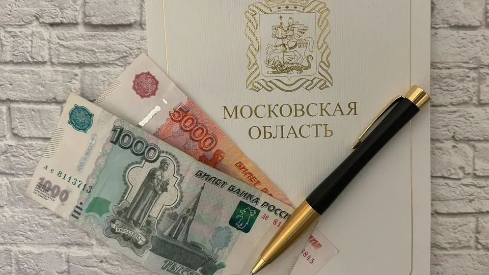 Фото: Министерство экономики и финансов Московской области