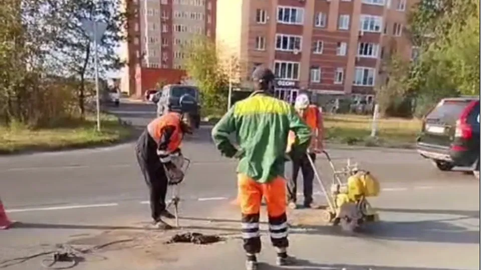 Фото: пресс-служба администрации г. о. Черноголовка<br>
