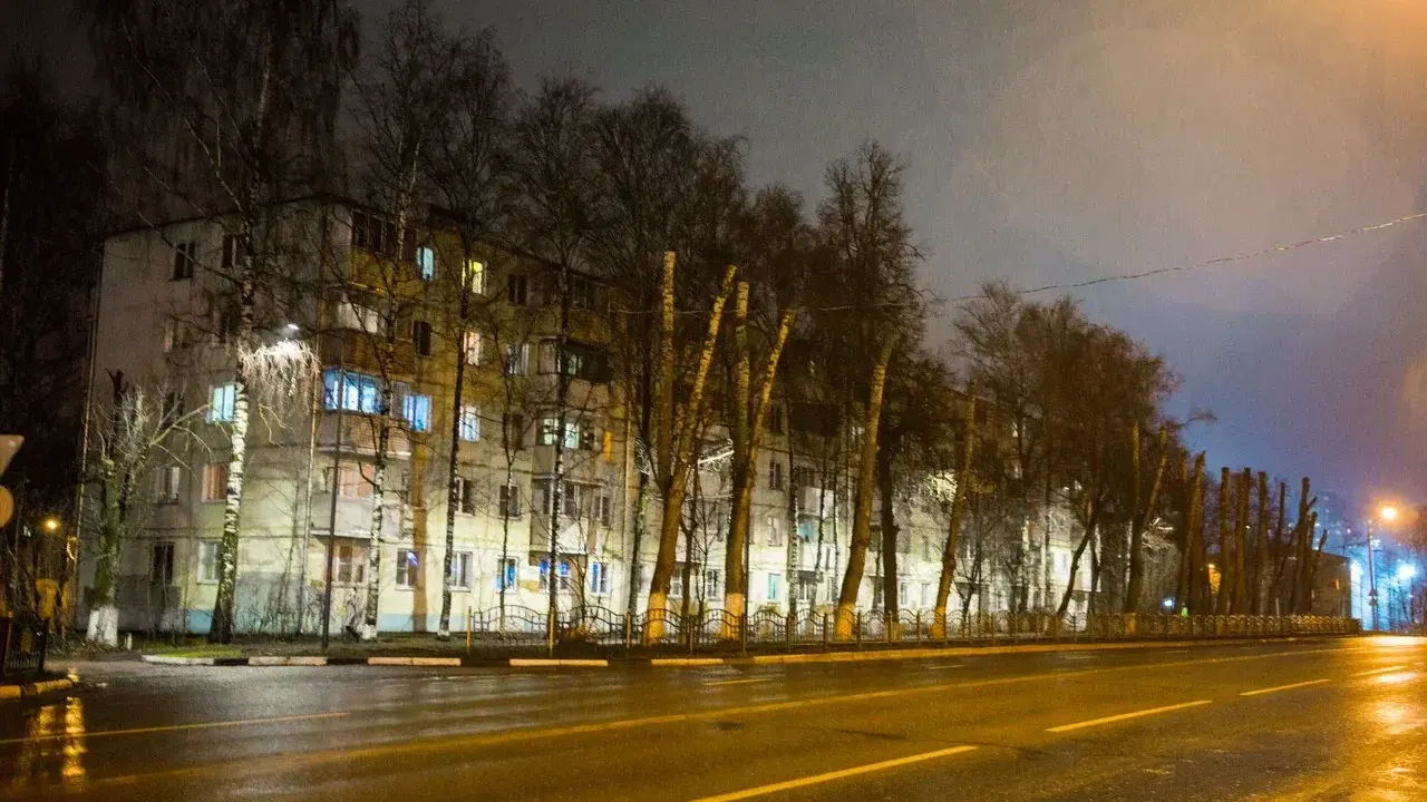 Фото: Министерство благоустройства Московской области