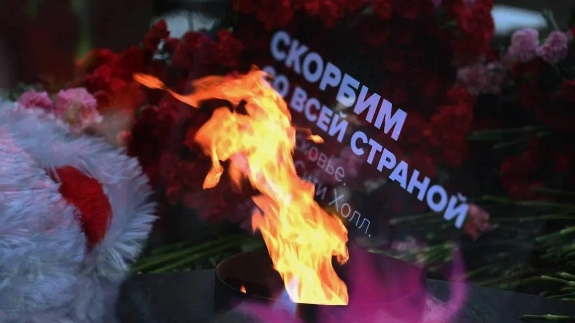 Фото предоставлено администрацией городского округа Видное