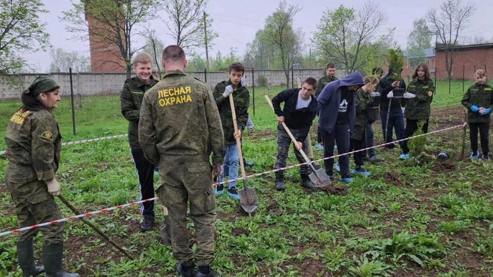 Фото: комитет лесного хозяйства Московской области