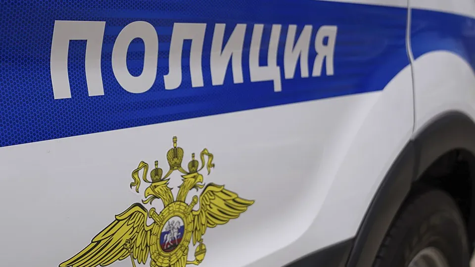 Фото: ГУ МВД по Московской области