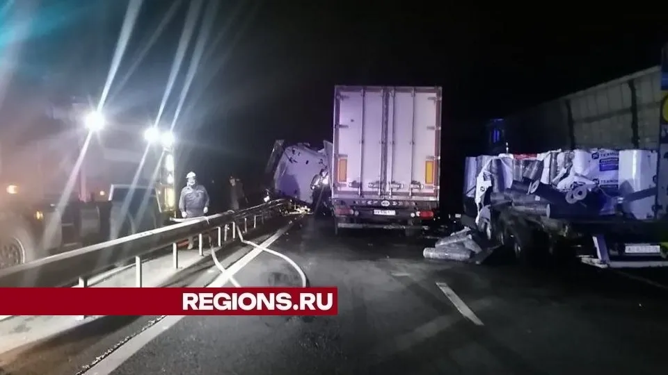 Фото: ГКУ МО «Мособлпожспас»