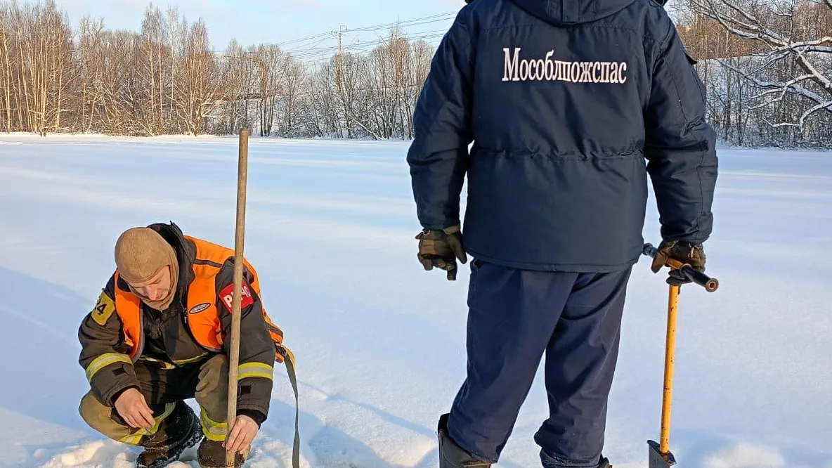 Фото: ГКУ МО «Мособлпожспас»