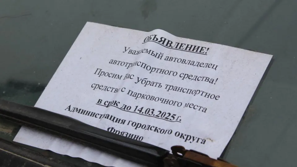 Фото: пресс-служба администрации г.о. Фрязино&nbsp;