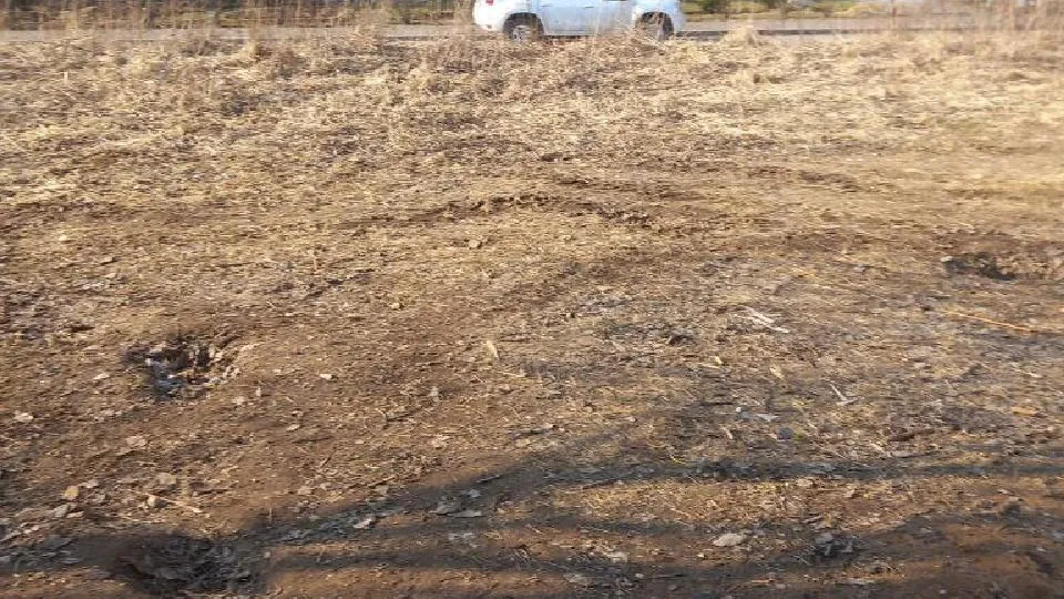Фото: администрация Одинцовского городского округа