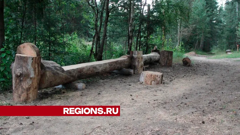 Фото: REGIONS/Василий Тремасов