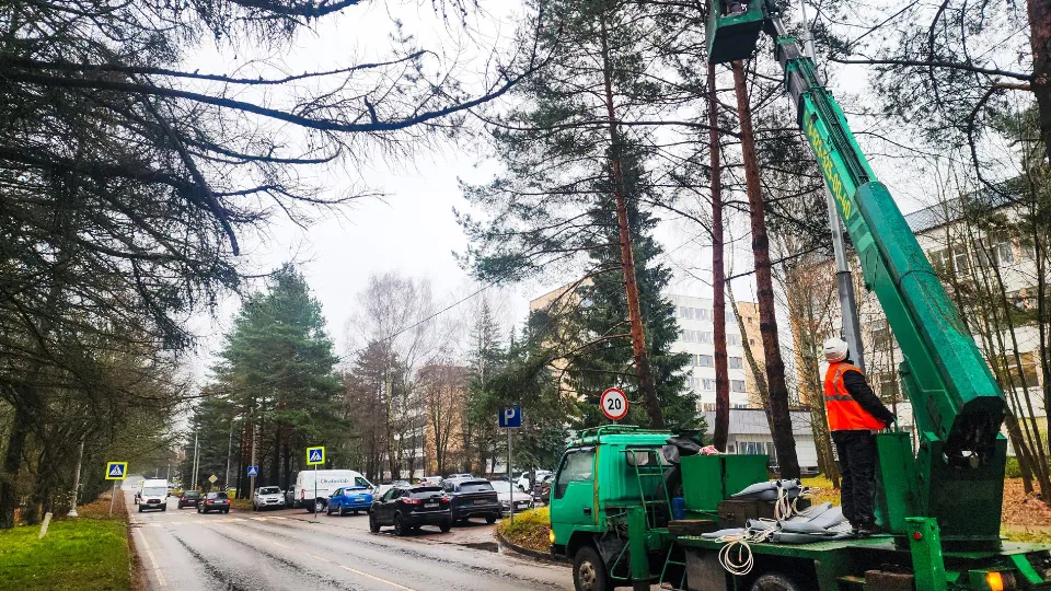 Фото: Министерство благоустройства МО