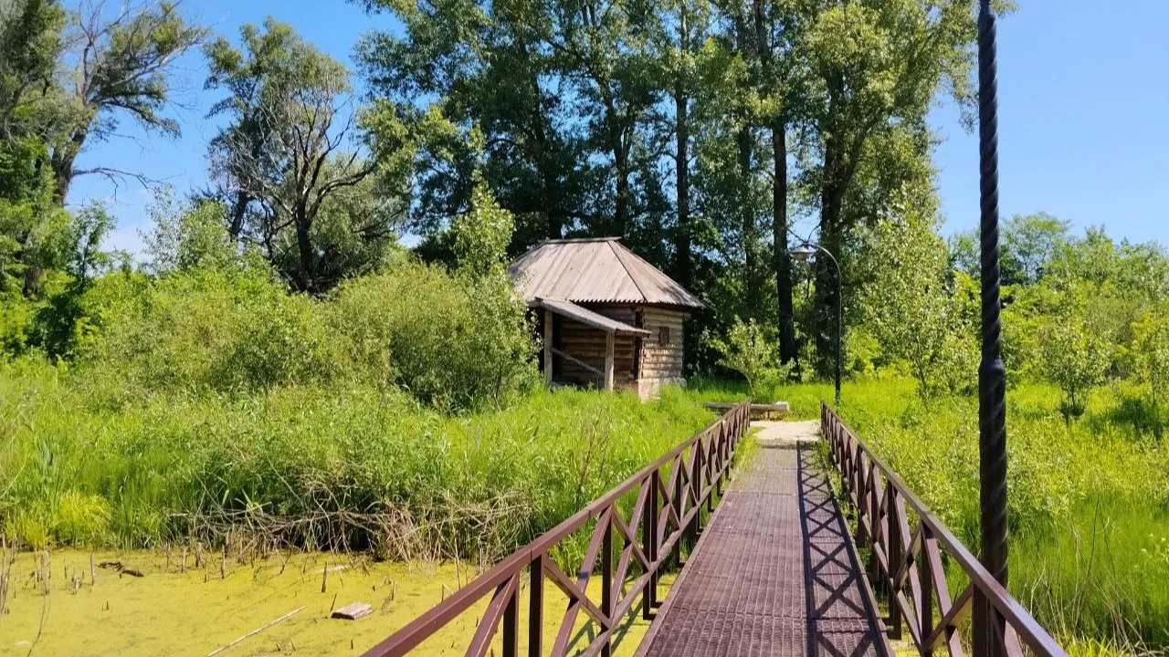 Картинка