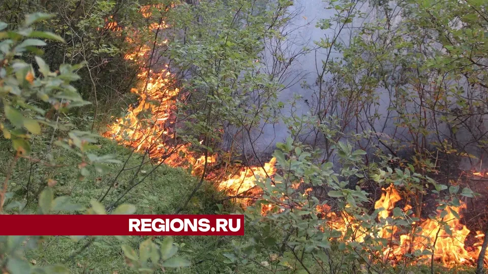 Фото: REGIONS/Василий Тремасов