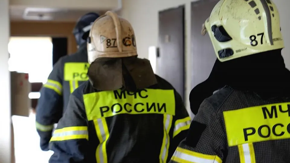 Фото: МедиаБанк Подмосковья/Дмитрий Зайчиков