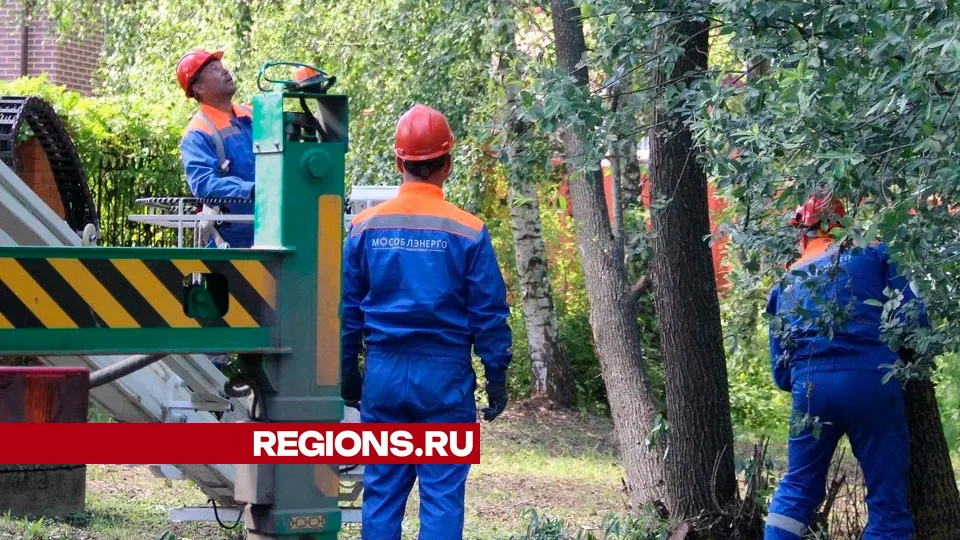 Фото: REGIONS/Василий Тремасов