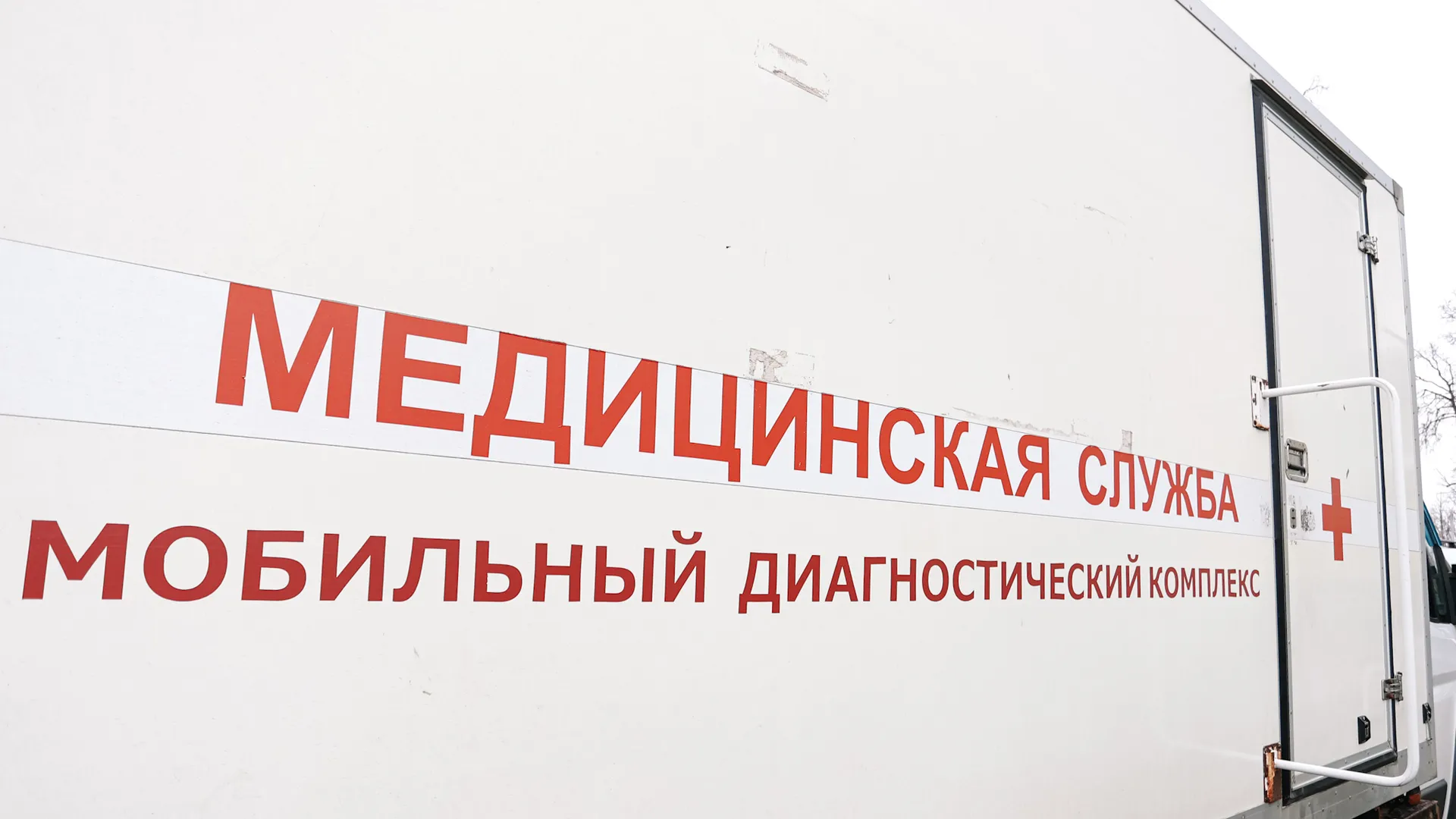 Анна Реппель