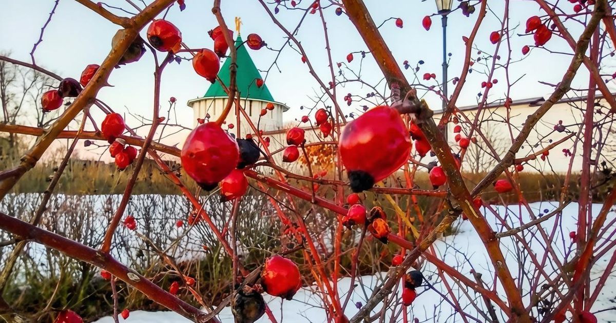 Дожди затопят Подмосковье, а температура упадет до +10 °C на Покров ...