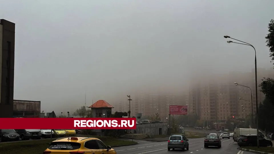 Фото: Михаил Моисеев