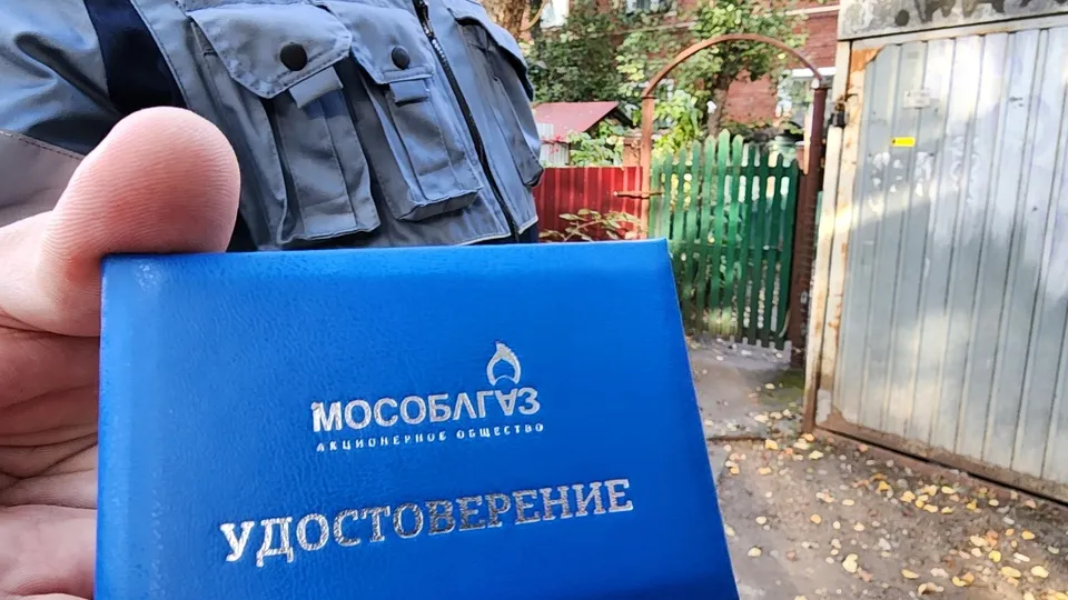 Фото: МедиаБанк Подмосковья/ Никита Сморкалов