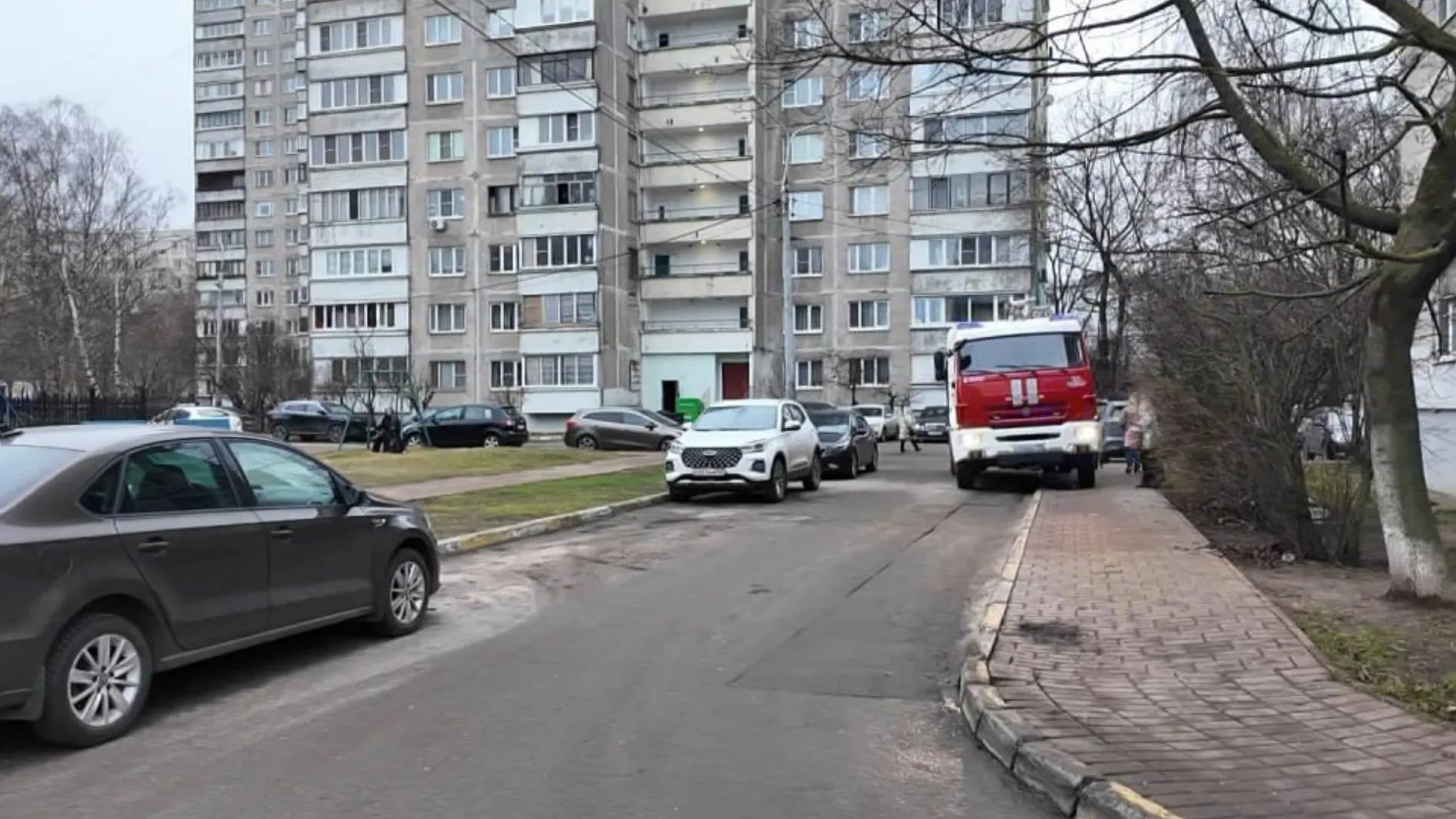 Фото: Раменский медиацентр