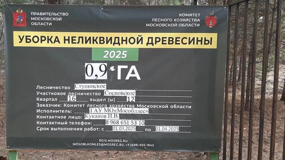 Фото: Комитет лесного хозяйства МО