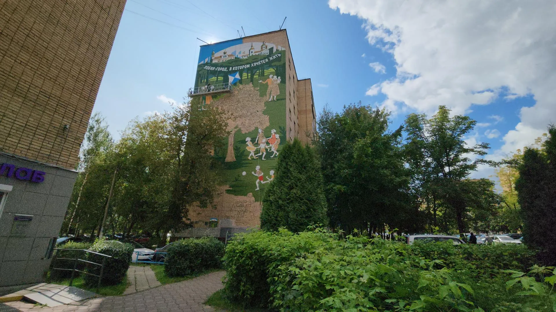Картинка