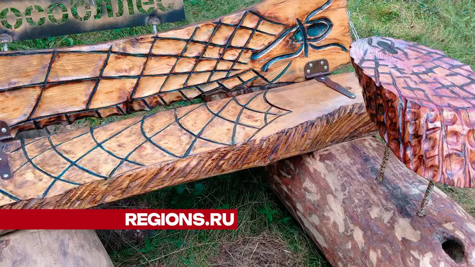 Фото: REGIONS/Василий Тремасов
