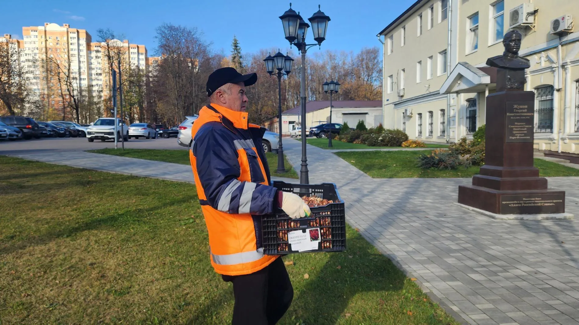 Картинка