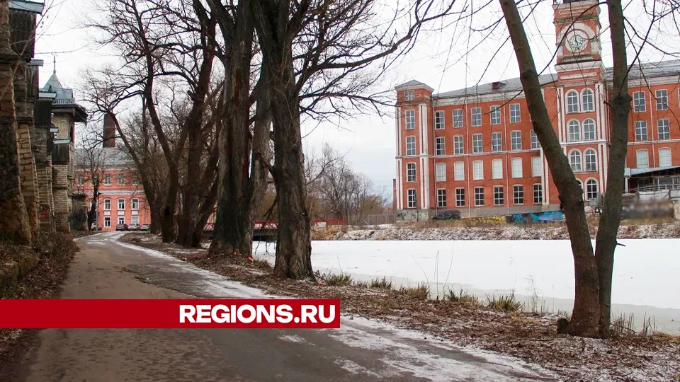Фото: REGIONS/Василий Тремасов