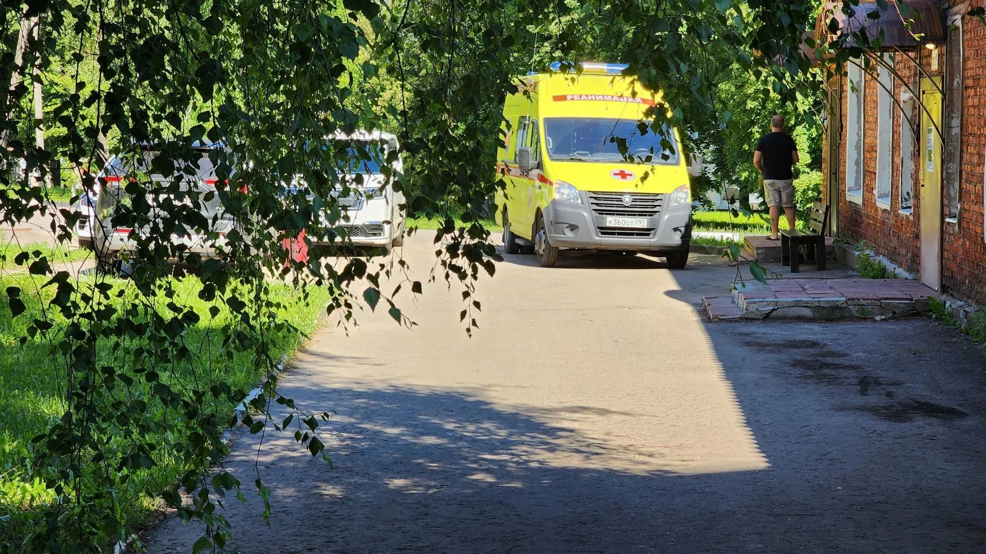 Картинка