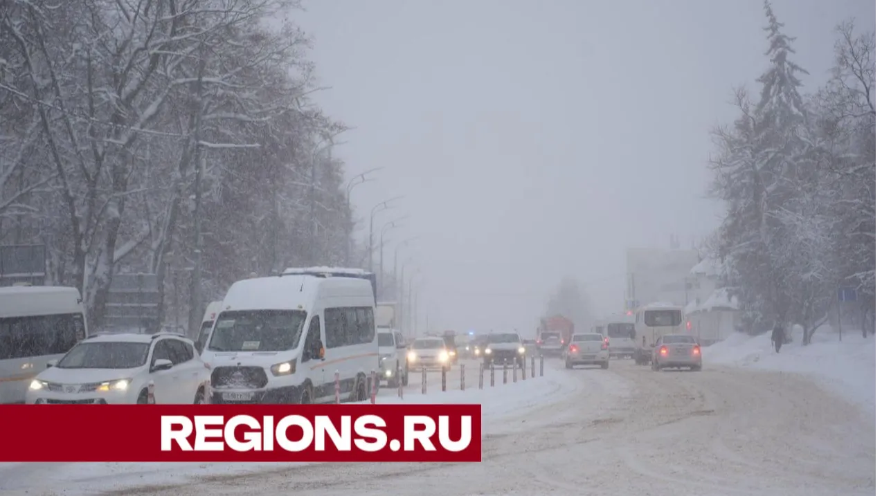 Фото: Дмитрий Зайчиков
