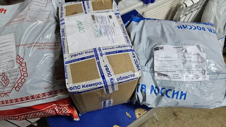 Фото: пресс-служба администрации г. о. Подольск