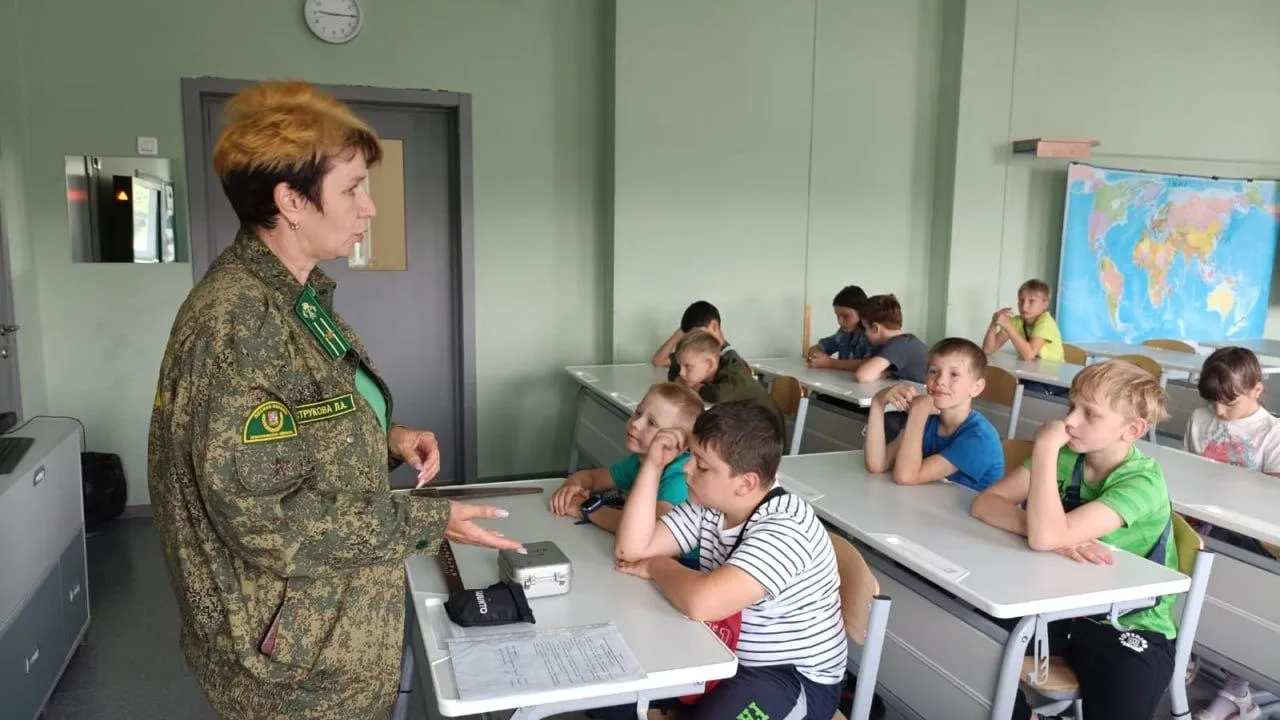 Фото: Комитет лесного хозяйства МО&nbsp;&nbsp;