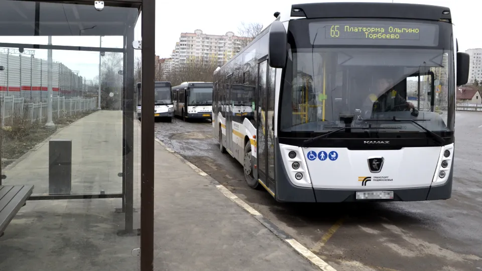 Фото: МедиаБанк Подмосковья/Ирина Мальцева