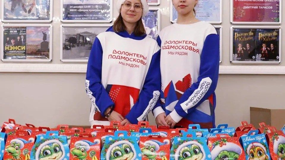 Фото: пресс-служба администрации г.о. Ступино