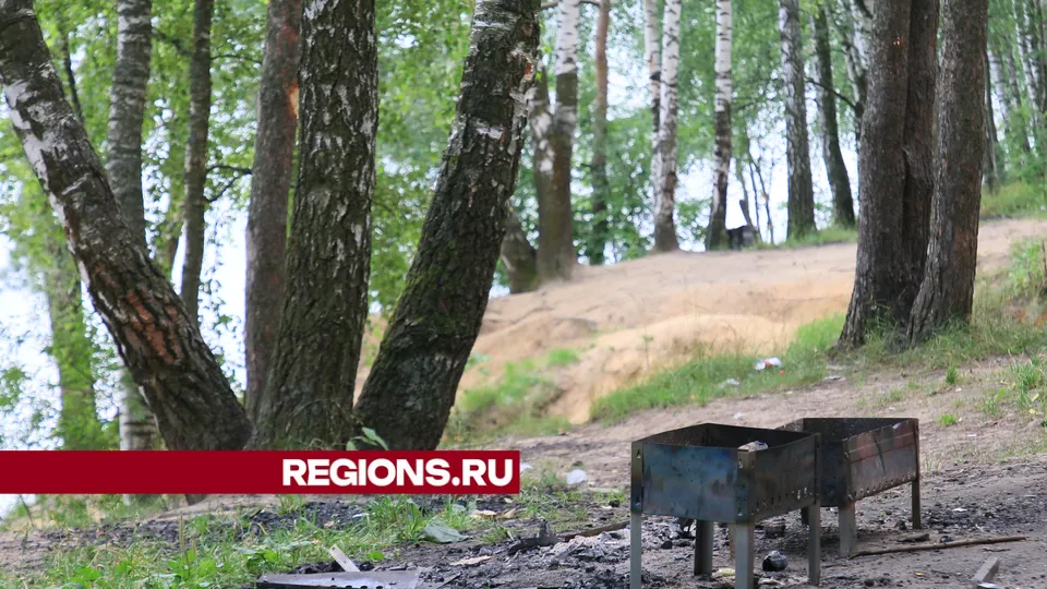 Фото: Алексей Грызлов