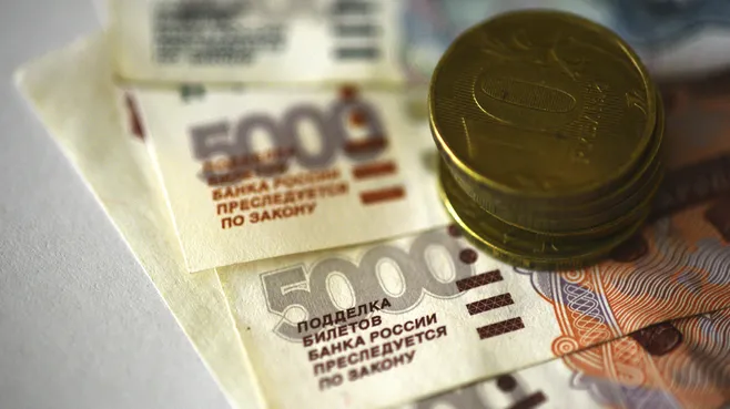 Профессор Сафонов раскрыл размер пенсий депутатов в 2026 году