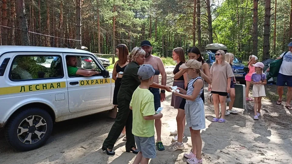 Фото: Комитет лесного хозяйства Московской области