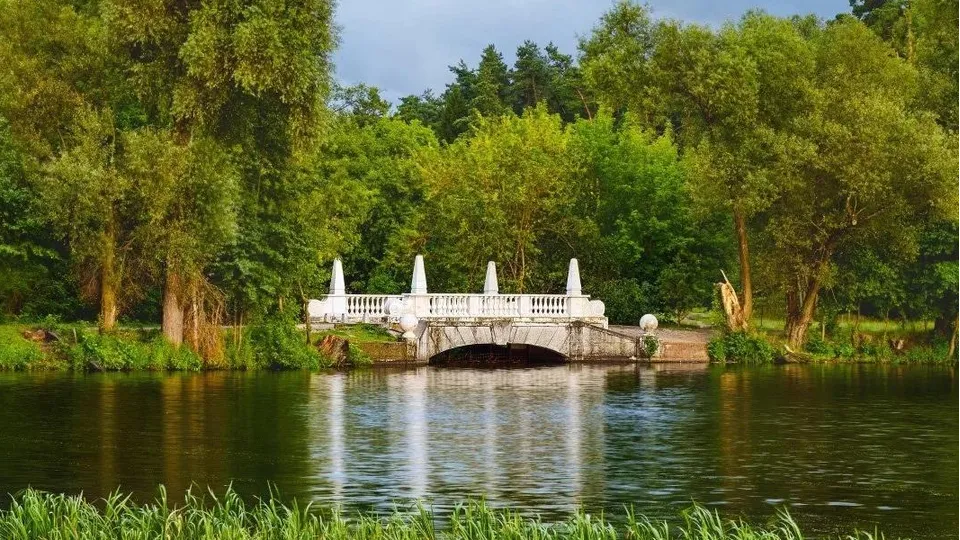 Фото: медиасток.рф