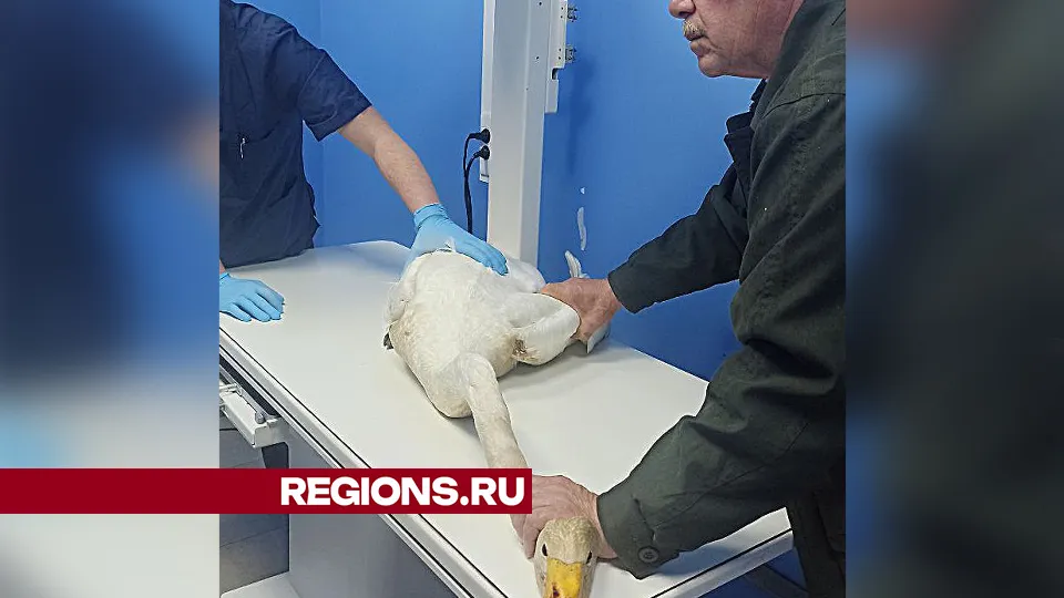 Фото: Ольга Пятикрестовская