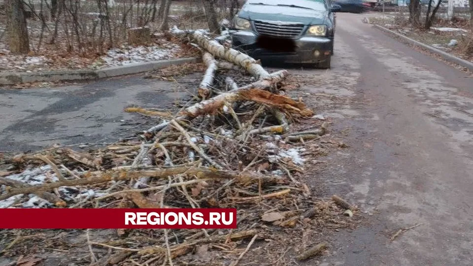 Фото предоставлено жительницей Жуковского