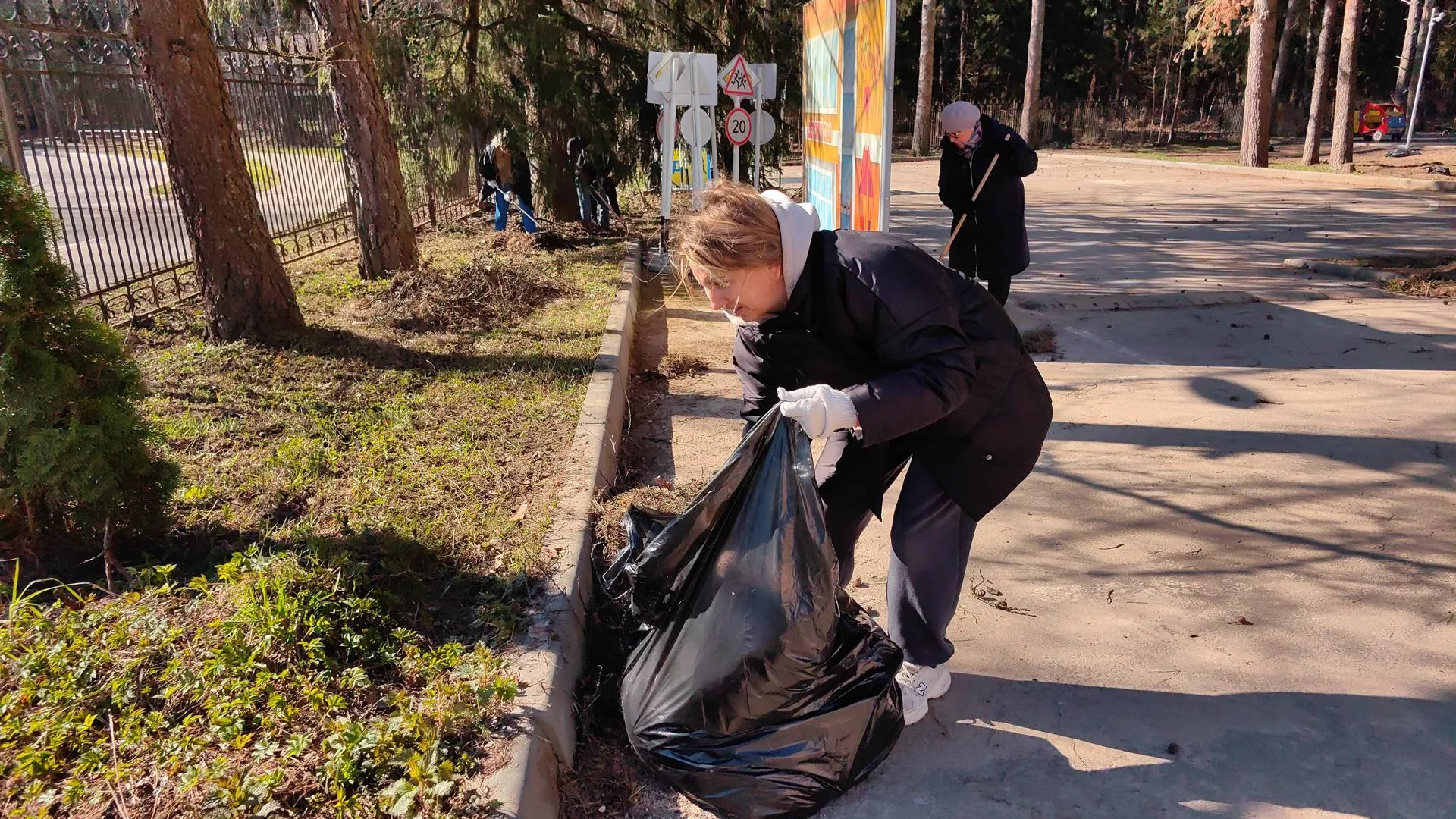 Картинка