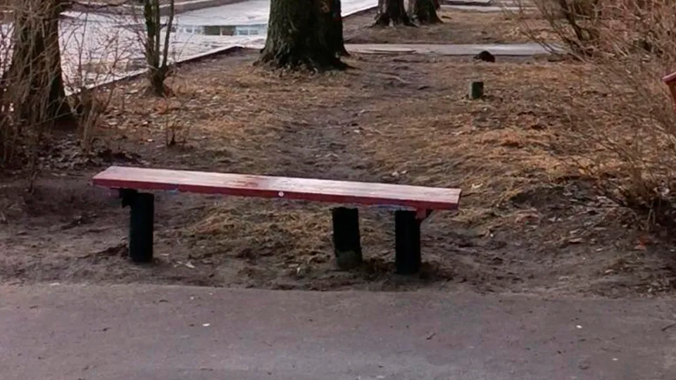 Фото: пресс-служба администрации муниципального округа Шатура