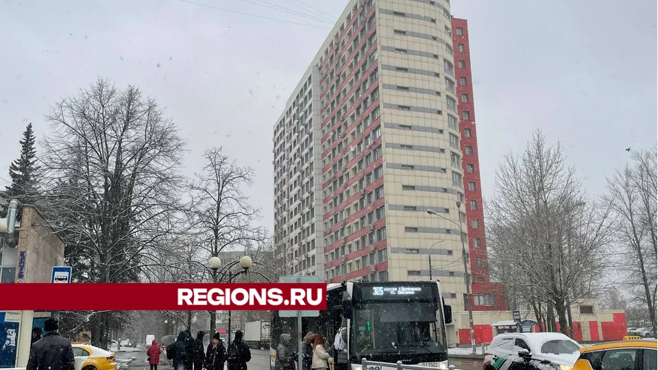 Фото: Марат Алиев