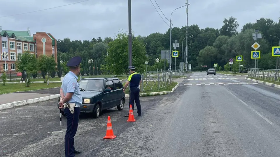 Фото: пресс-служба ОМВД по г.о. Ступино