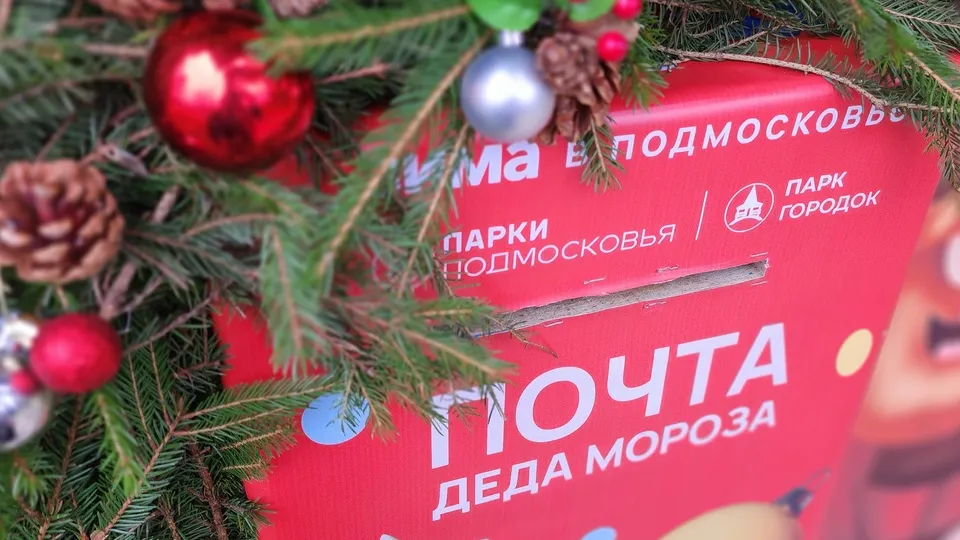Фото: МедиаБанк Подмосковья/Екатерина Данилина