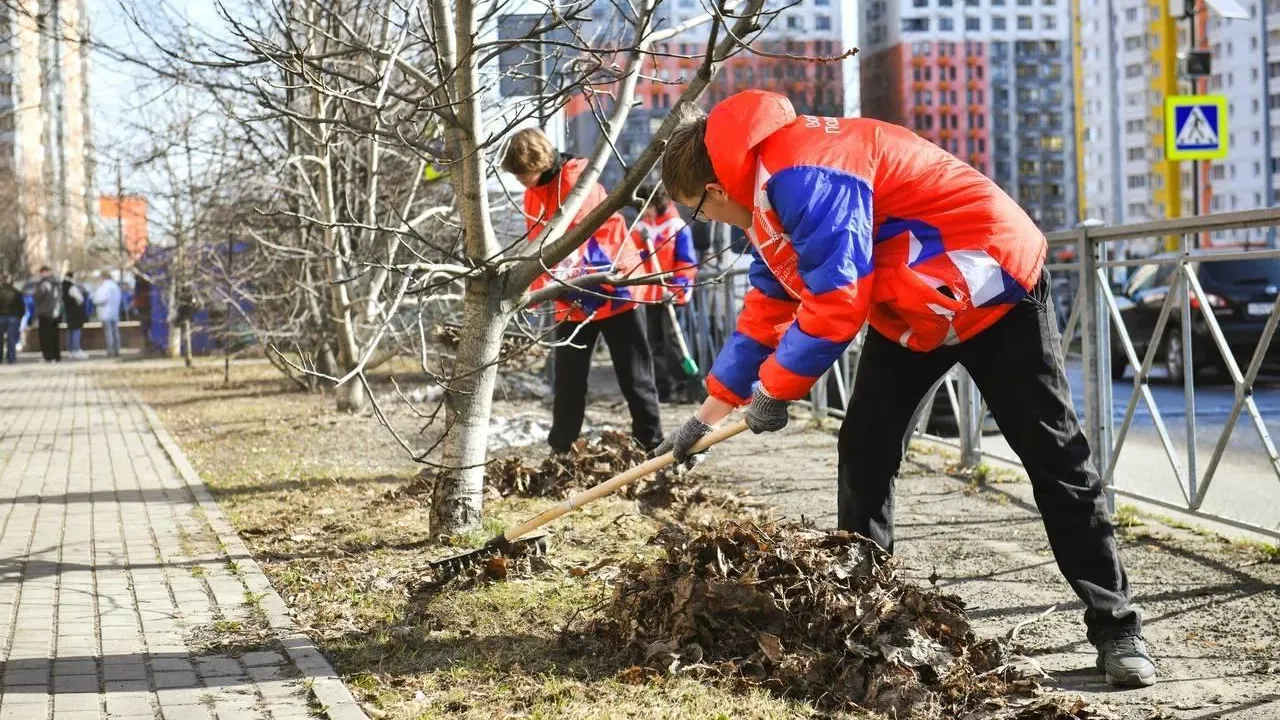 В Подмосковье пройдет Всероссийская акция «Мы за чистоту»