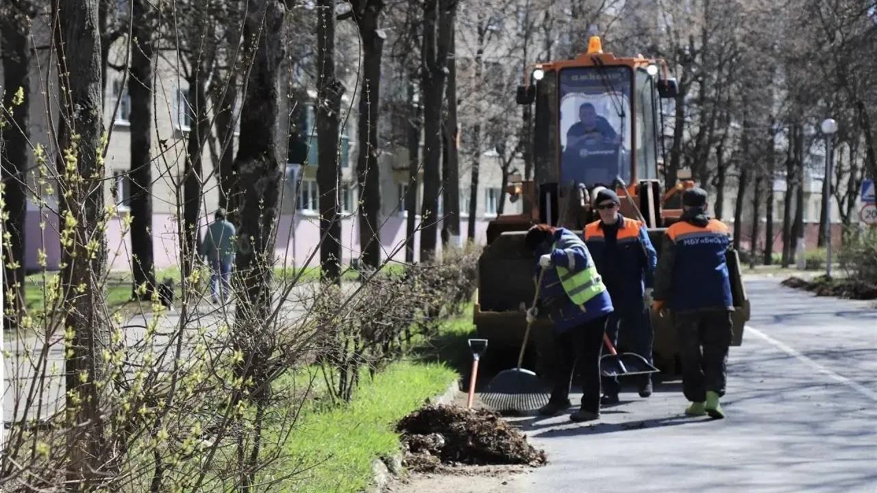 Картинка