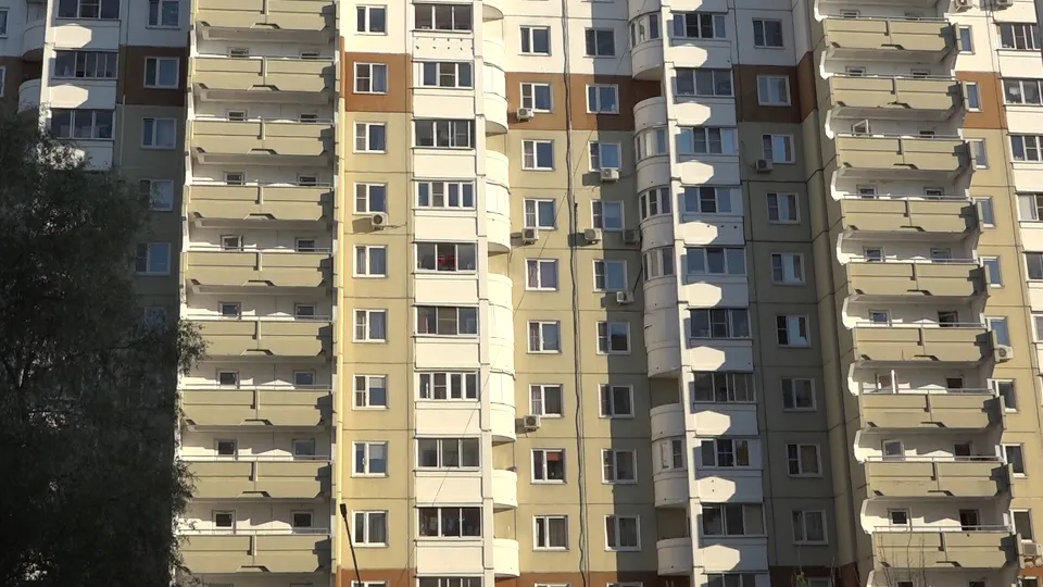 Фото: МедиаБанк Подмосковья/Елена Аботурова